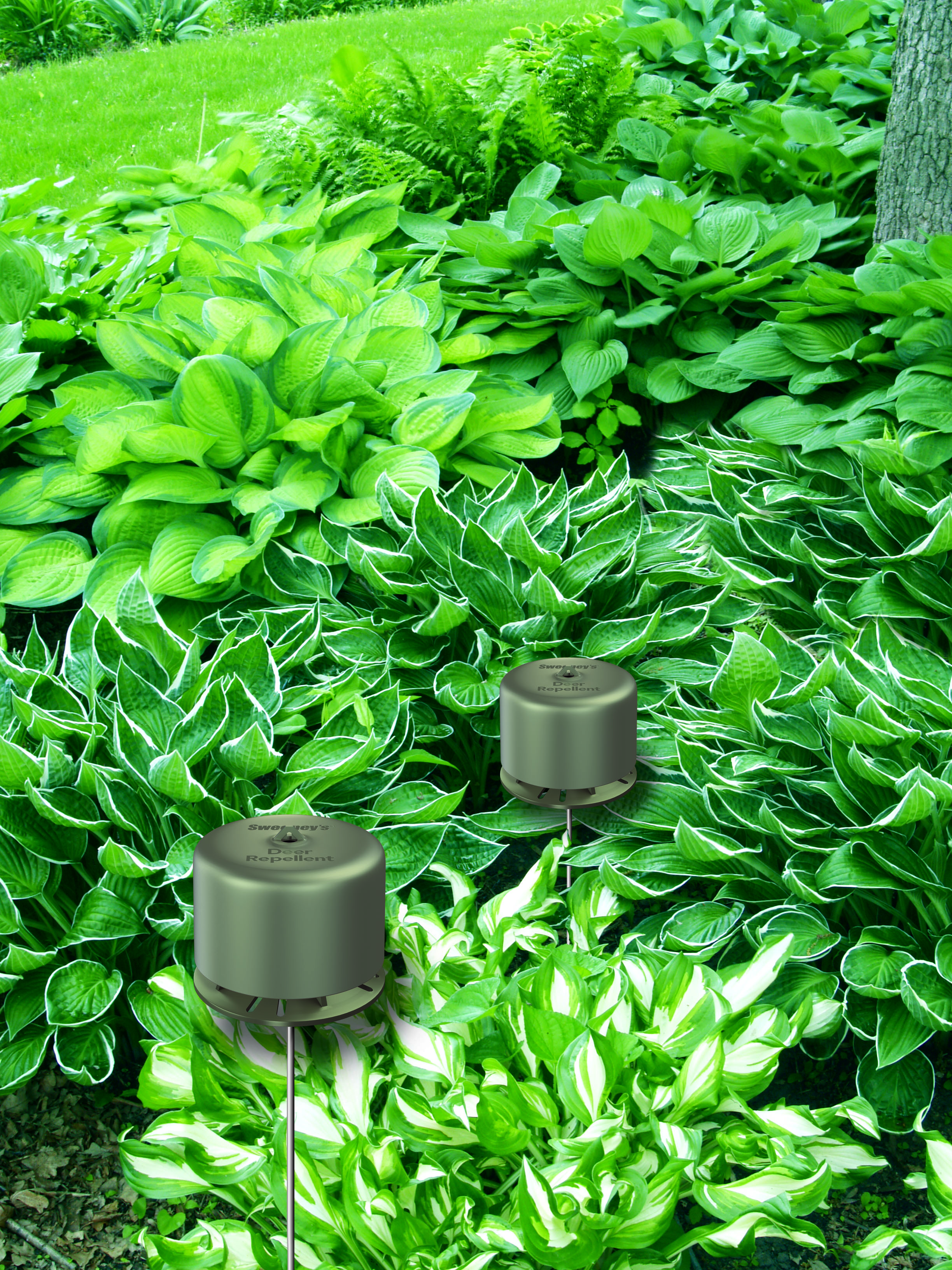 Havahart® Adds Deer Off® Deer Repellent Stations to Product Line-up